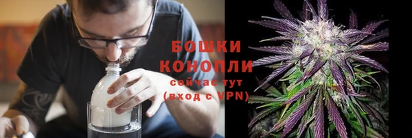 spice Богородицк