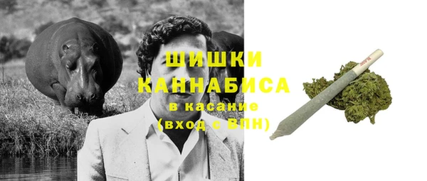 spice Богородицк