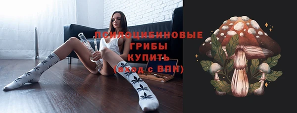 spice Богородицк