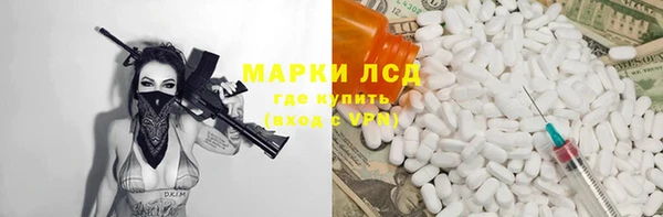 spice Богородицк