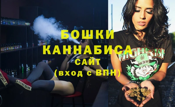 spice Богородицк