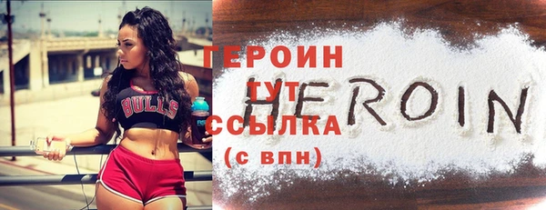 spice Богородицк